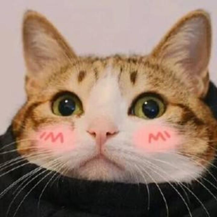 小陈