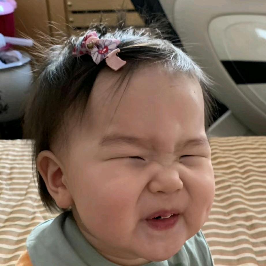 熊猫炖大象