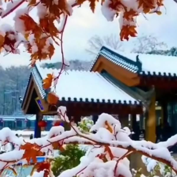 勇闯天涯