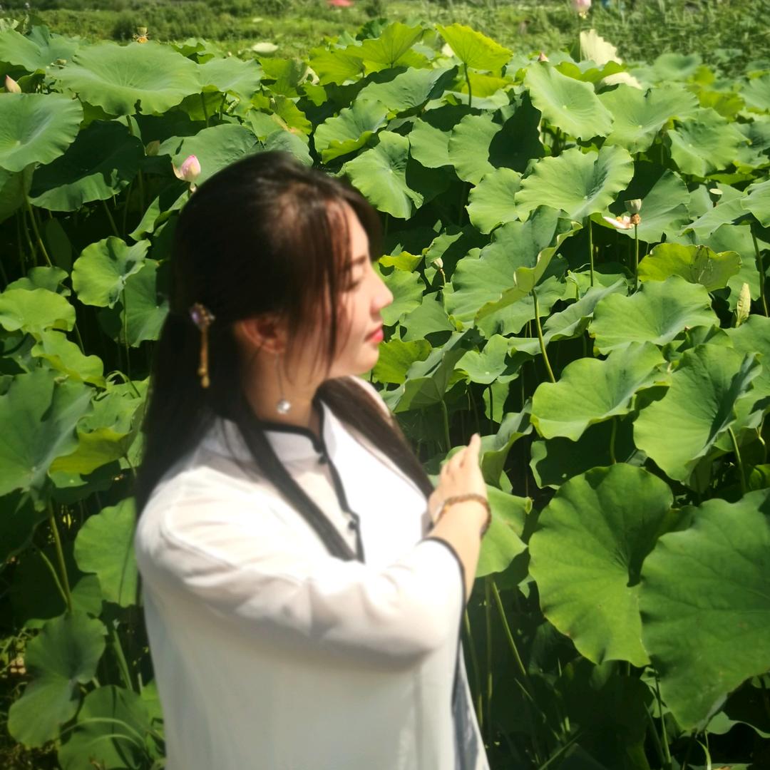 禅悦•养生，茶，共修
