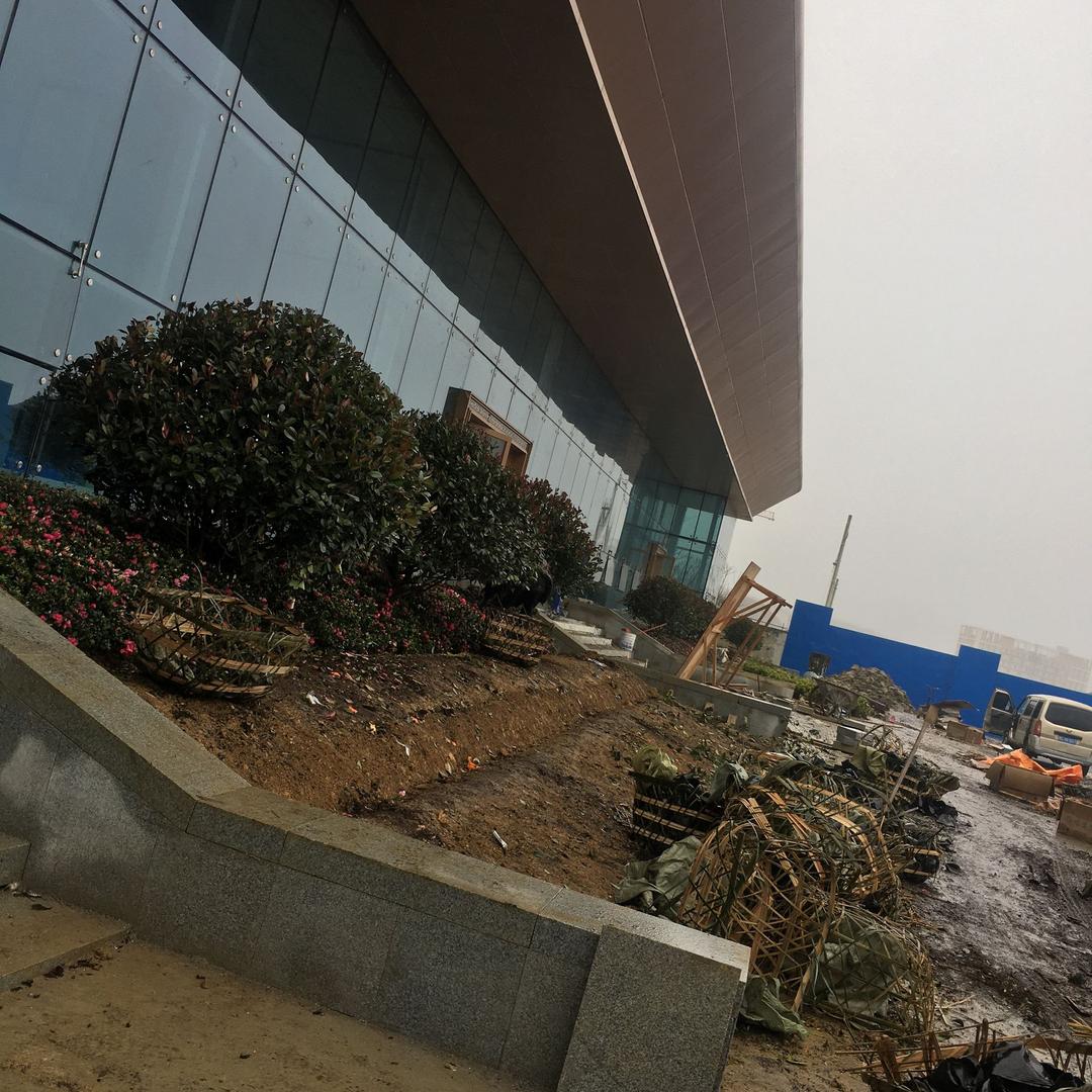 大地飞鹰