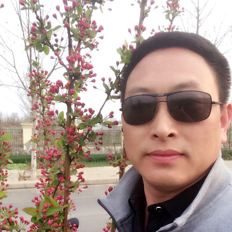 我心飞翔