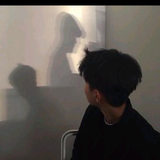 一荤一素.