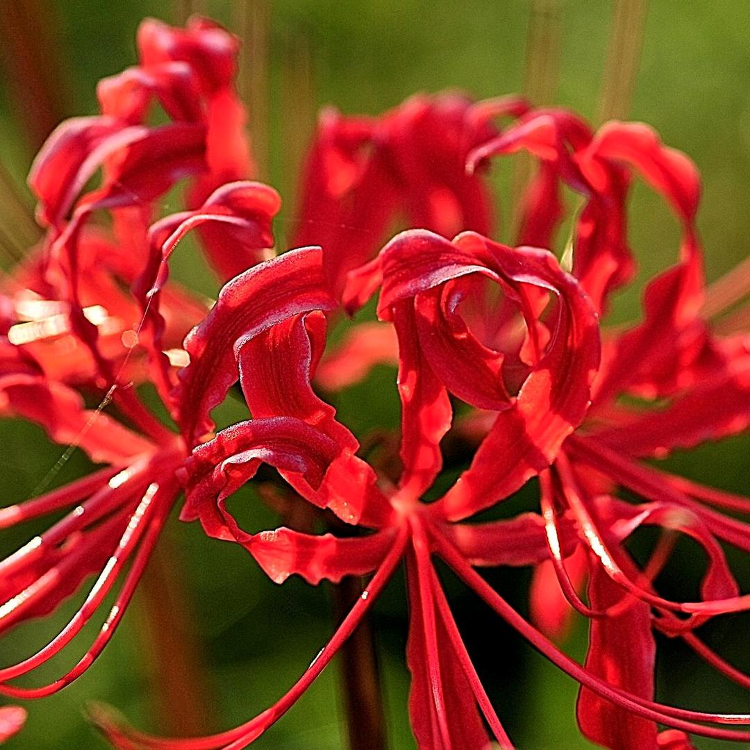 明天改网名看清冷暖