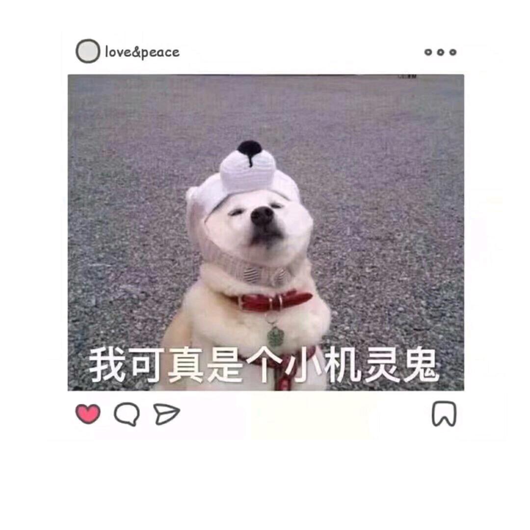 GGBong之勇闯抖音