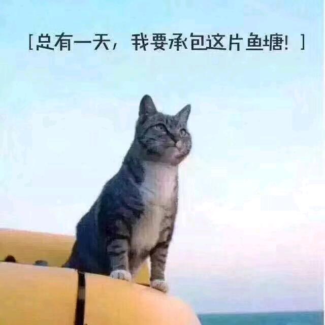 @渔夫