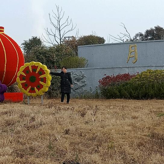 杨辉8420