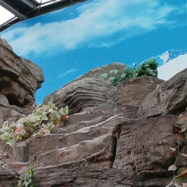 木易清风