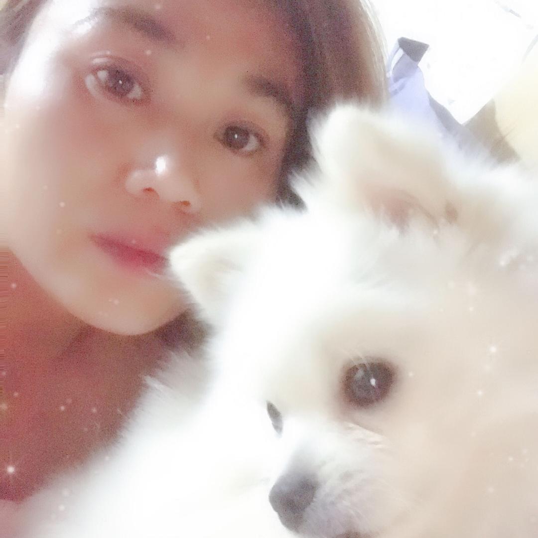 雪中樱花