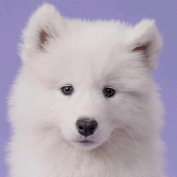 安阳创维新能源招聘部