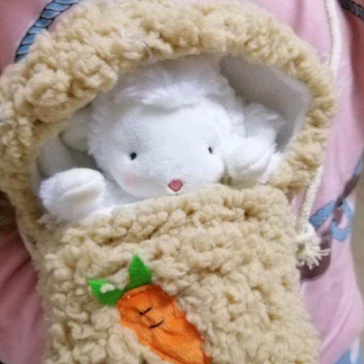 金州老汪