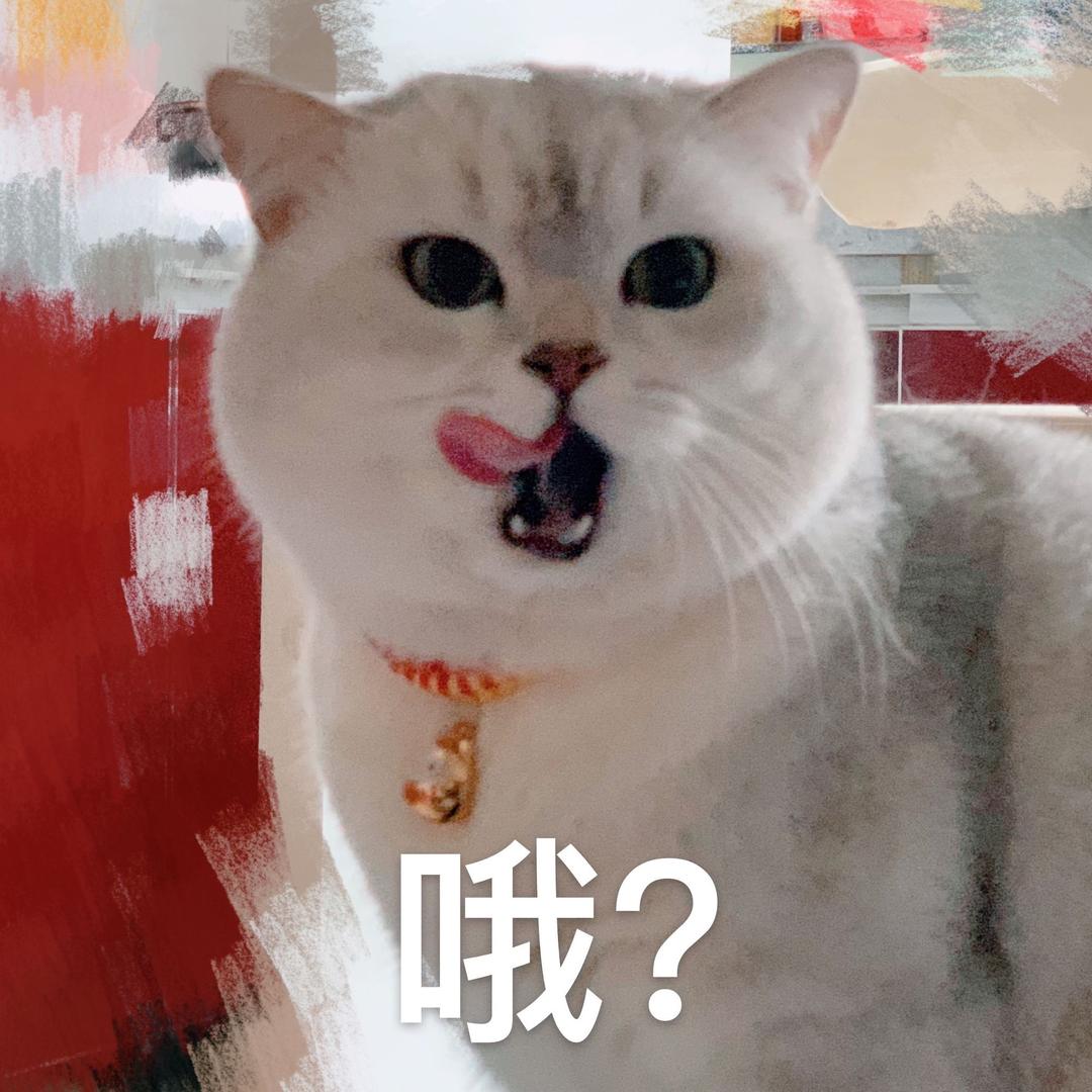 WoW丸子君