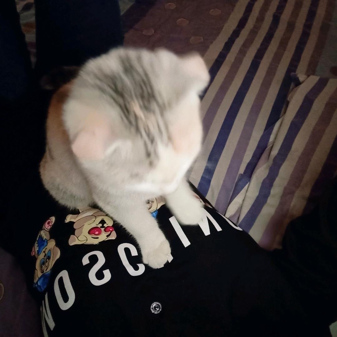 烟染╰　素人颜