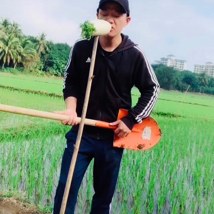 孔城刘的华