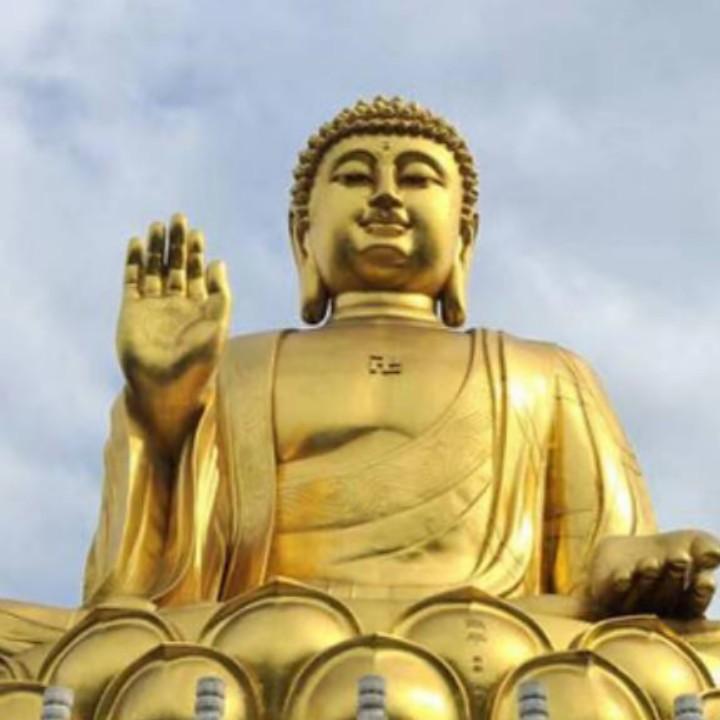 用户990196489