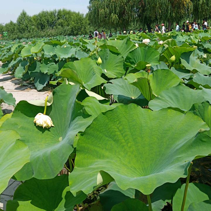幸福美一天
