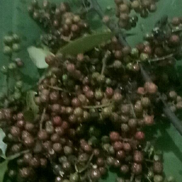 用户1047492151886老玩童