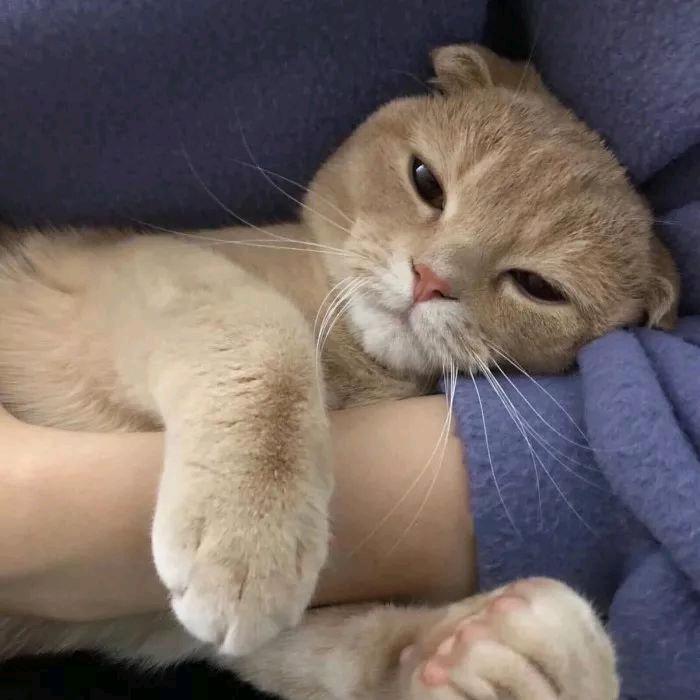 一加一
