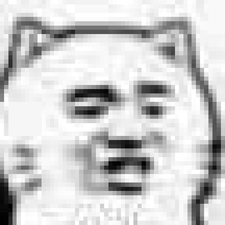 青柚