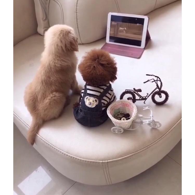 哈尼哈妹宠物用品