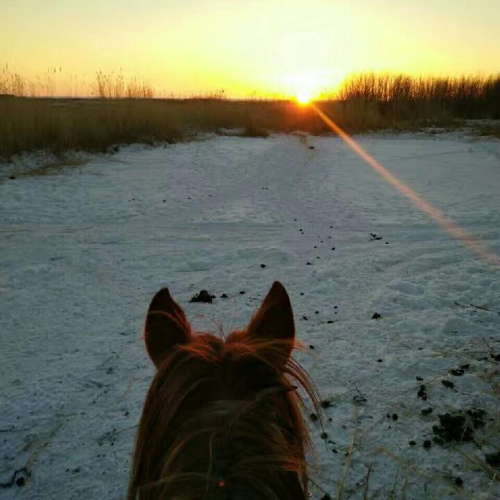 💎  Uzen.Эзэл  💎