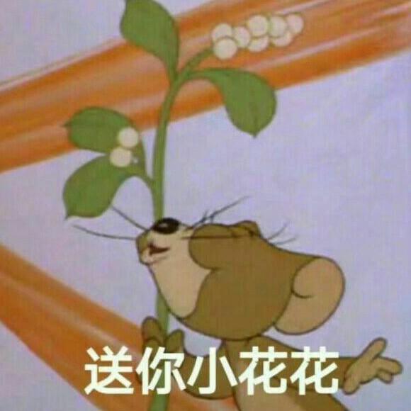 乂氼