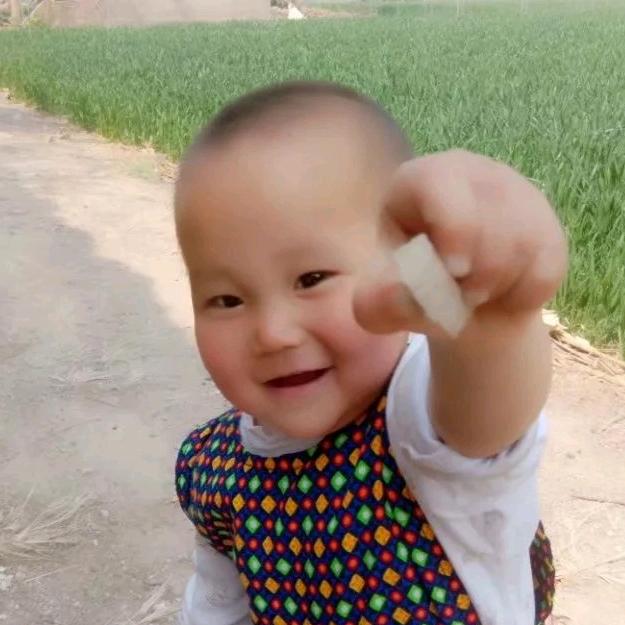毛毛