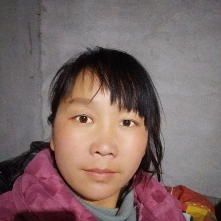 树林下的一丝阳光