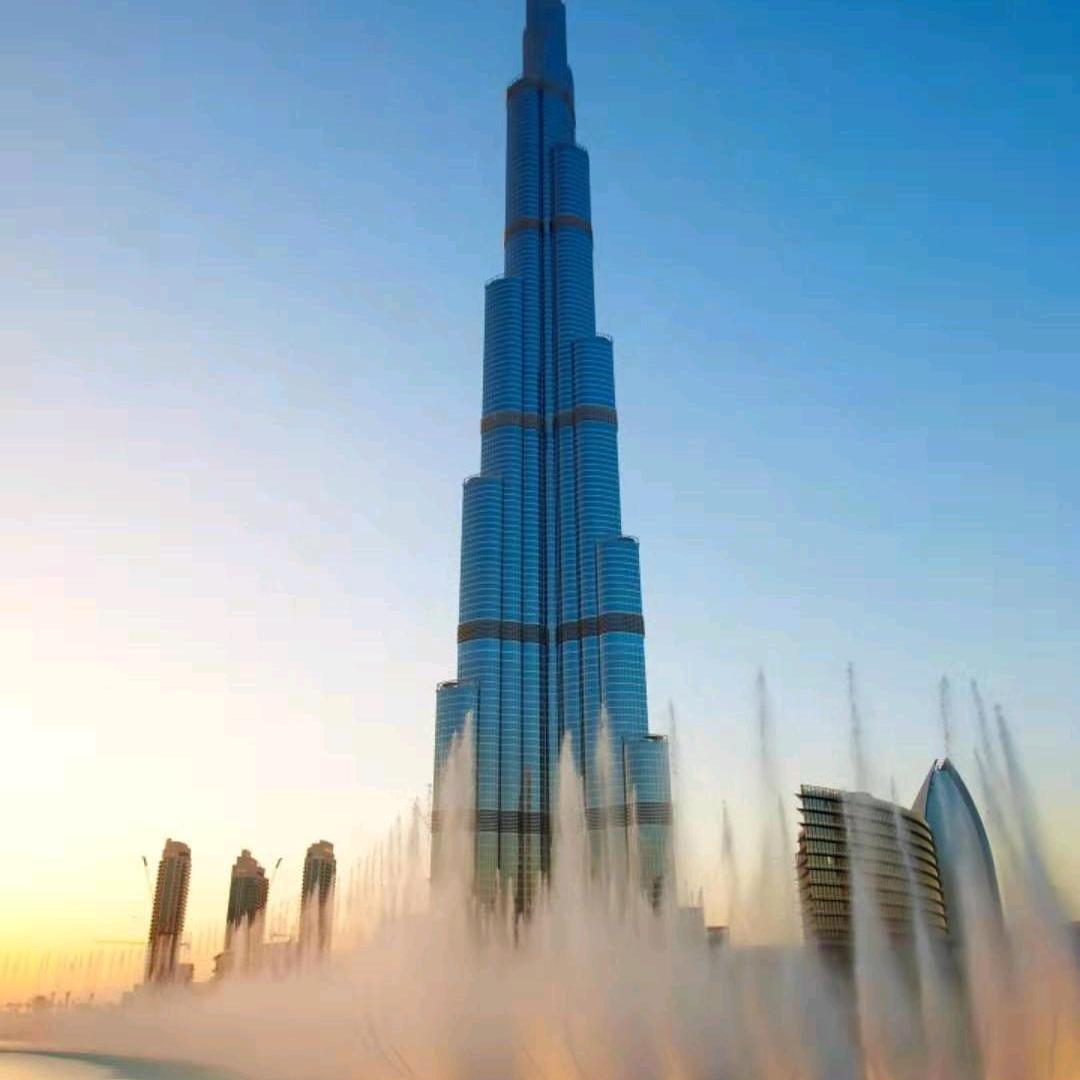 君子兰🎉🎉🎊🎊364967090