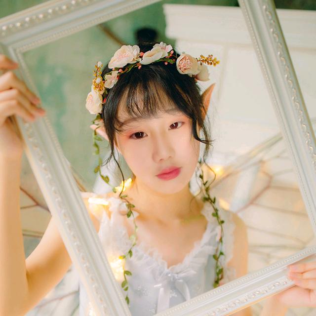 樱花梦