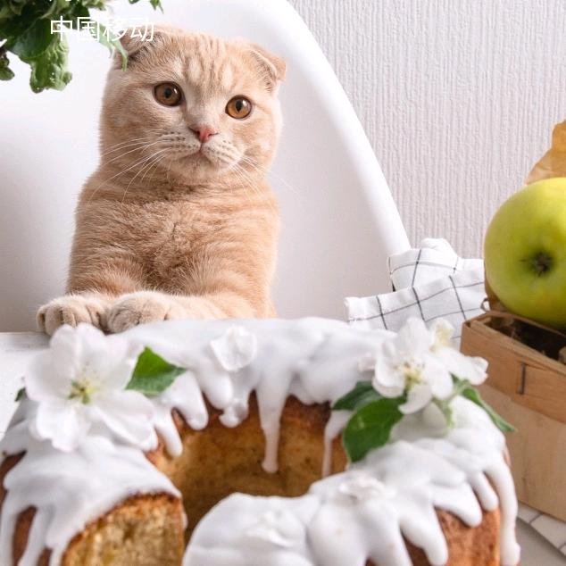 专业混泥土突击队。