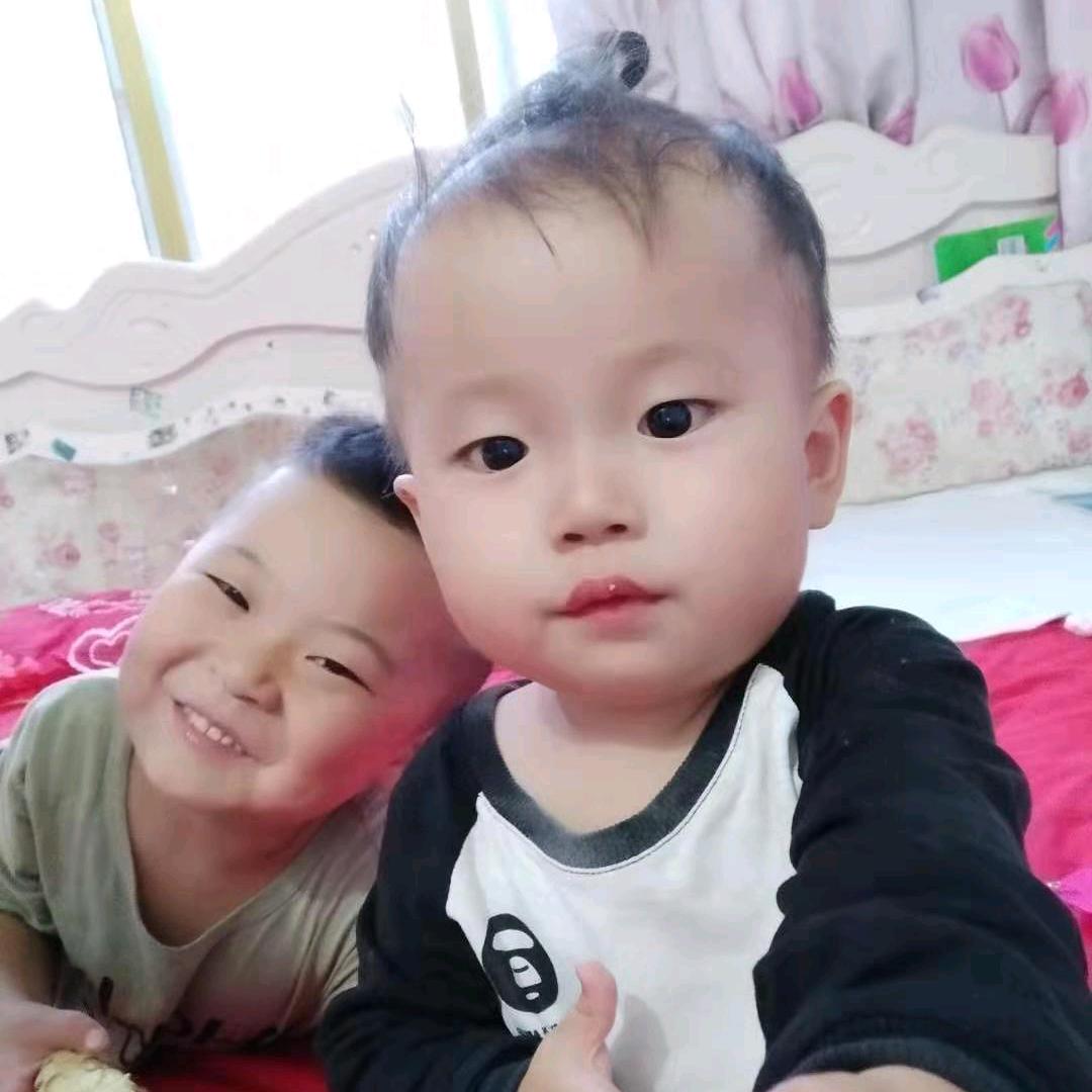 亳州中药材白术白芍