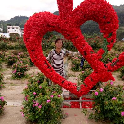 回忆过去-