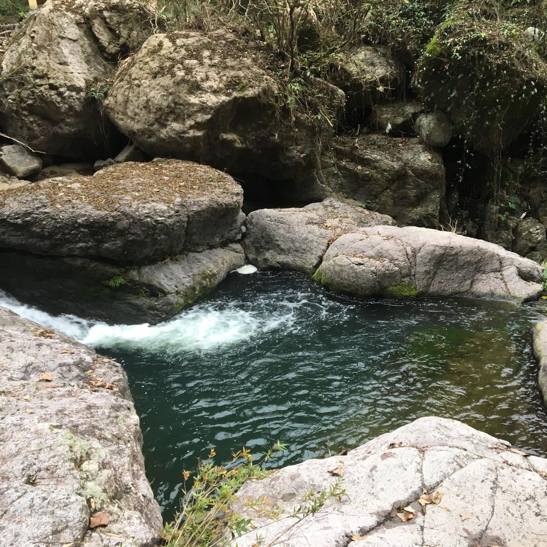 宁波北仑区绿能照明(渡口南路店)