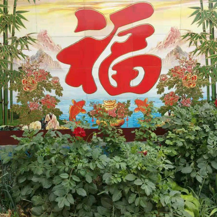 随缘，安好
