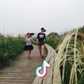 李样子