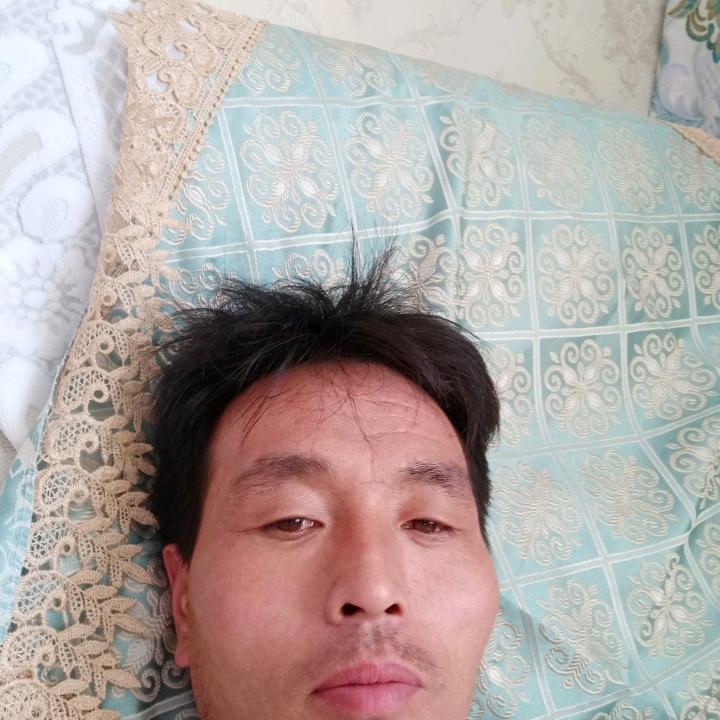 西北虎
