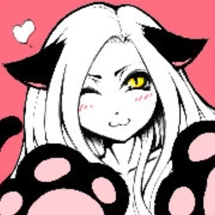一只猫kato