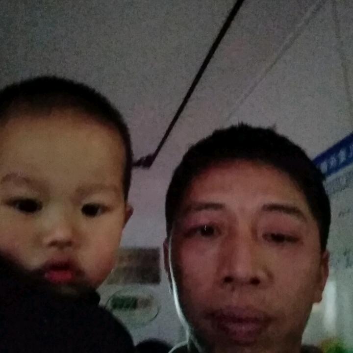 家有四宝