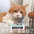 童童长大了