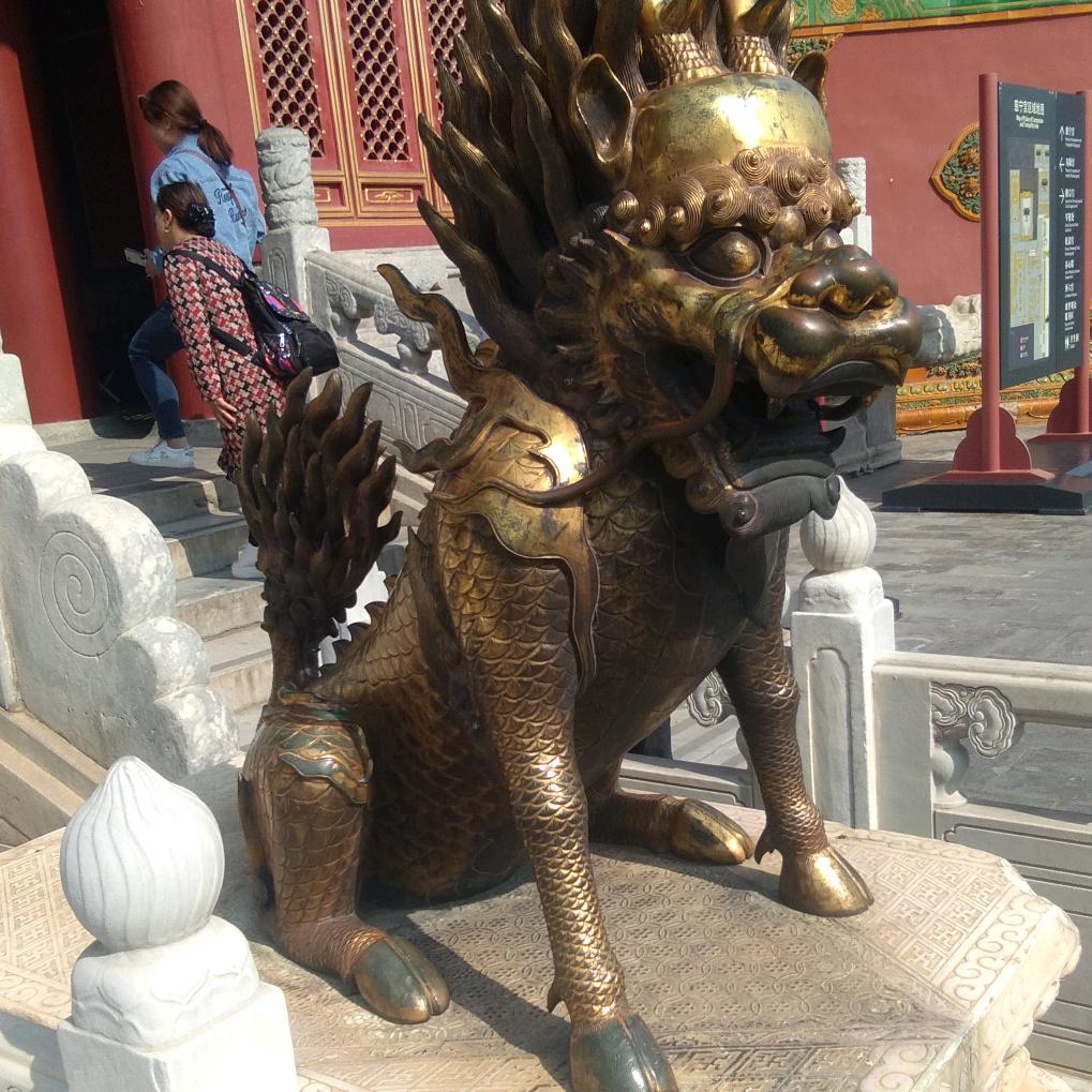 黑豹