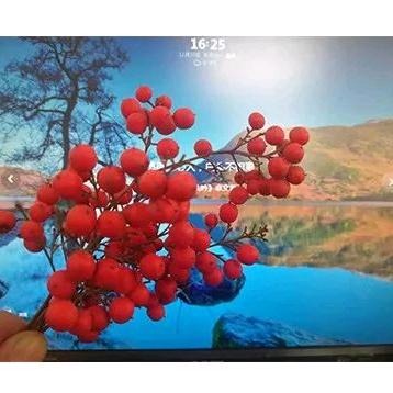 新疆特产(助农远方)