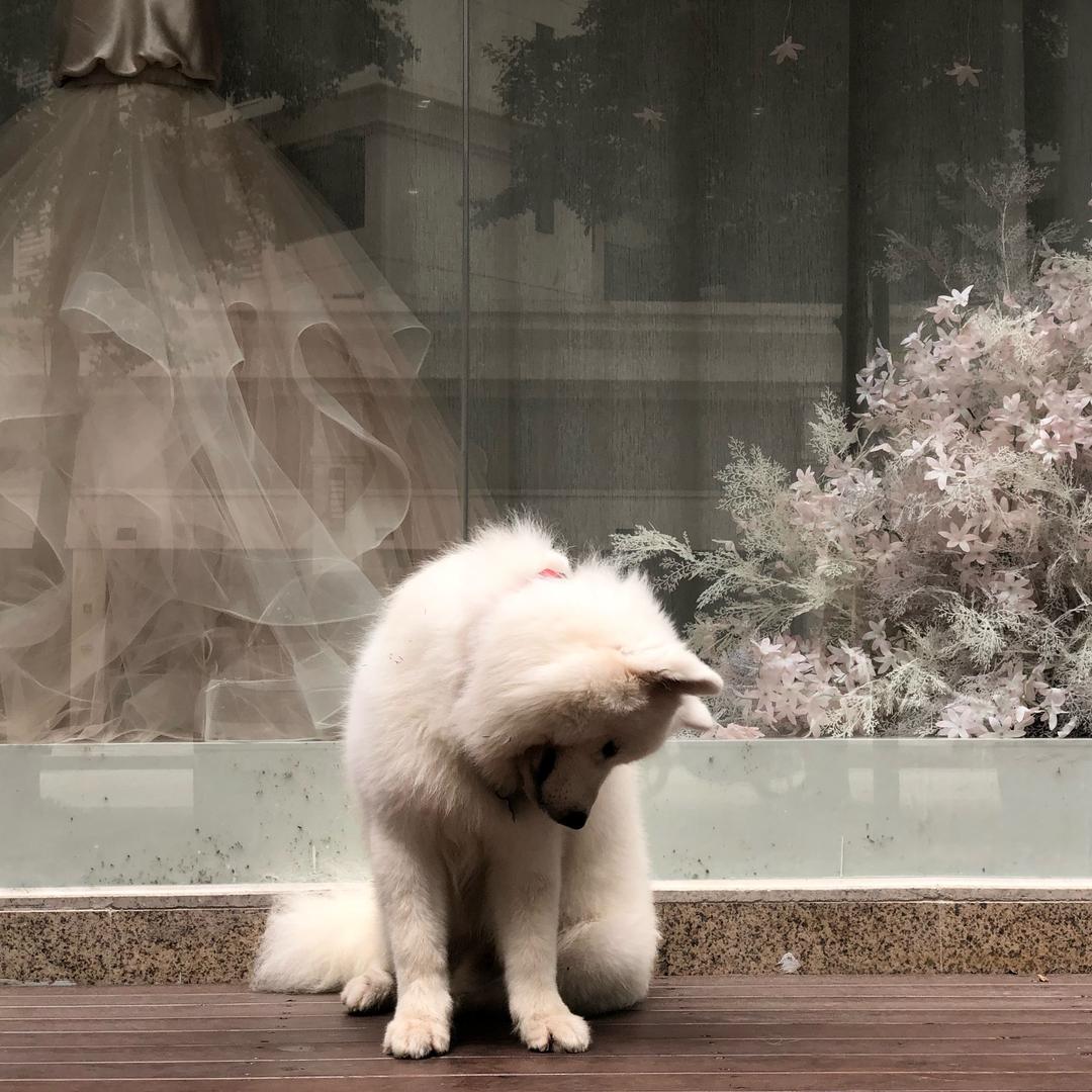 Ricky洛奇🦁️