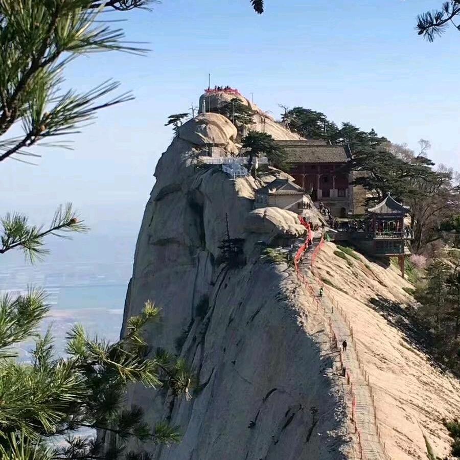 🌾余生如意🌾