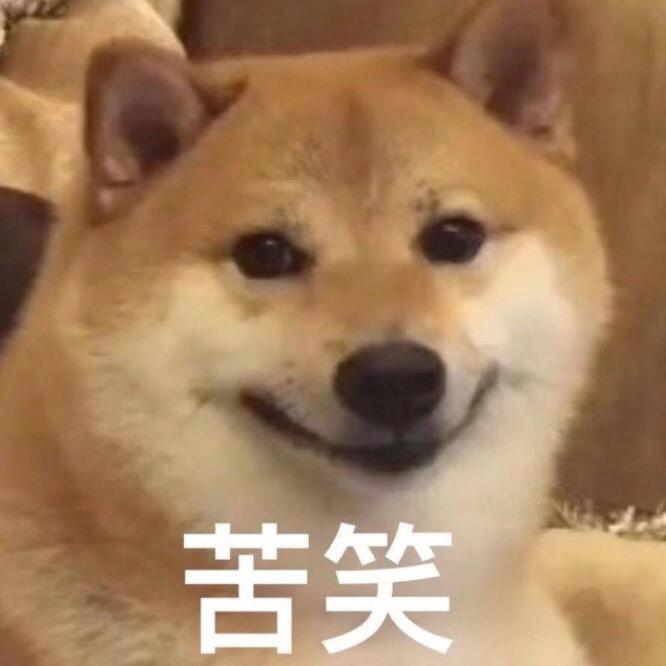 你那杯13