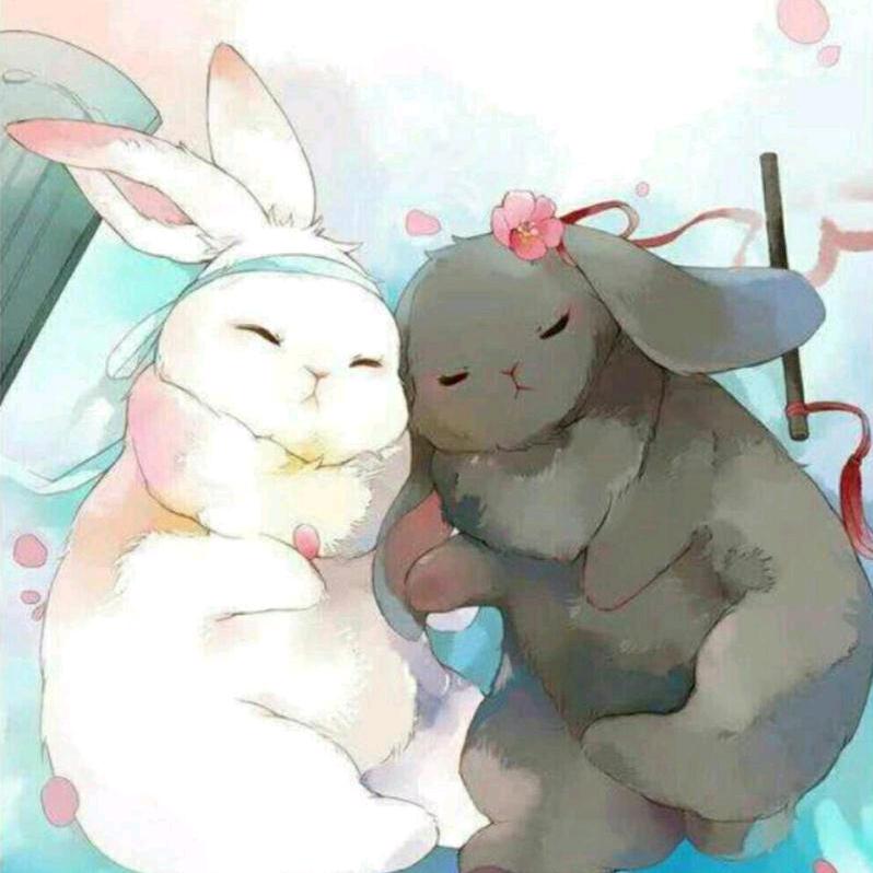 傻兔子