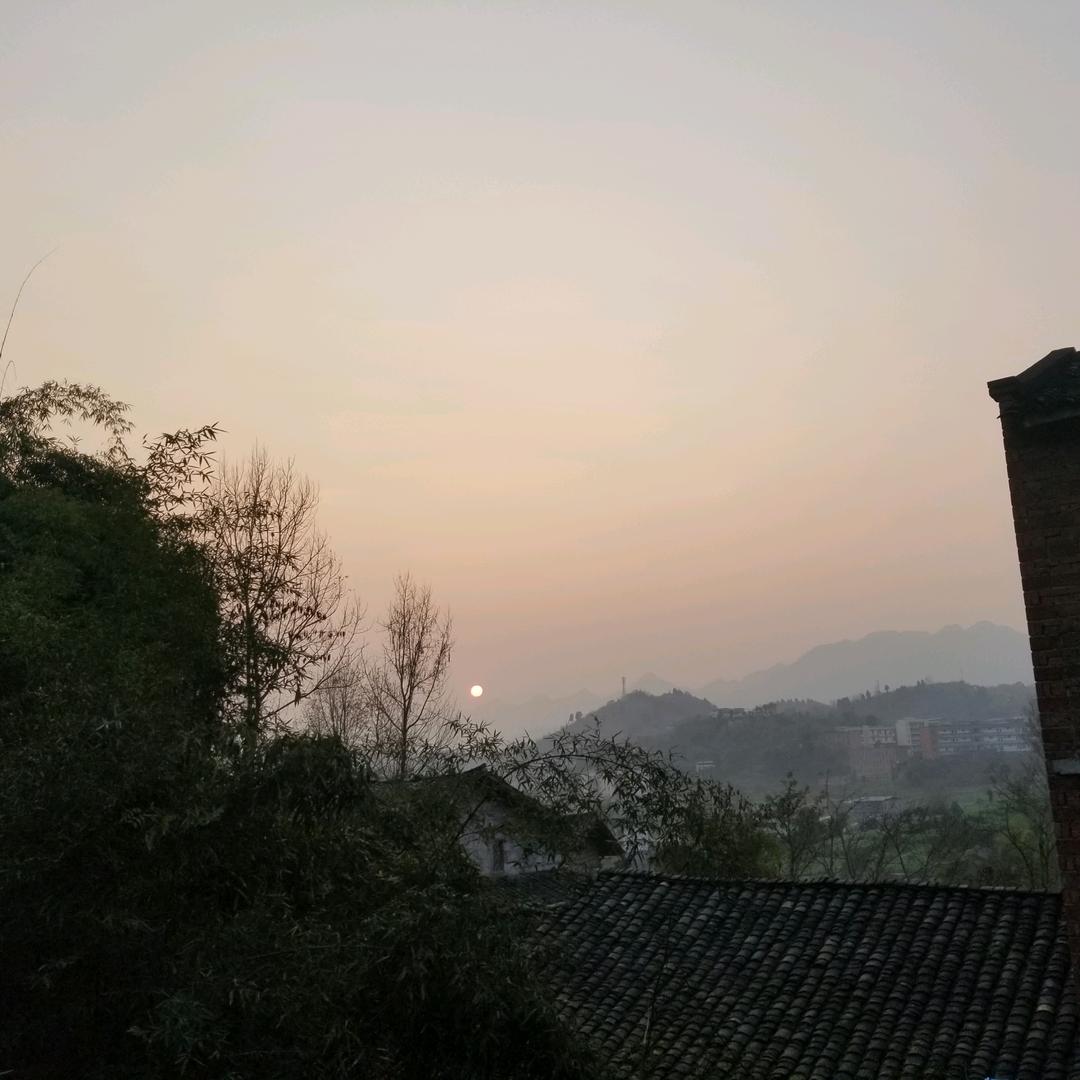 地球村 村支书 🐴