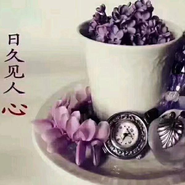 姐的心💔禁止访问💘