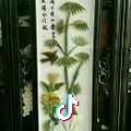 吾依