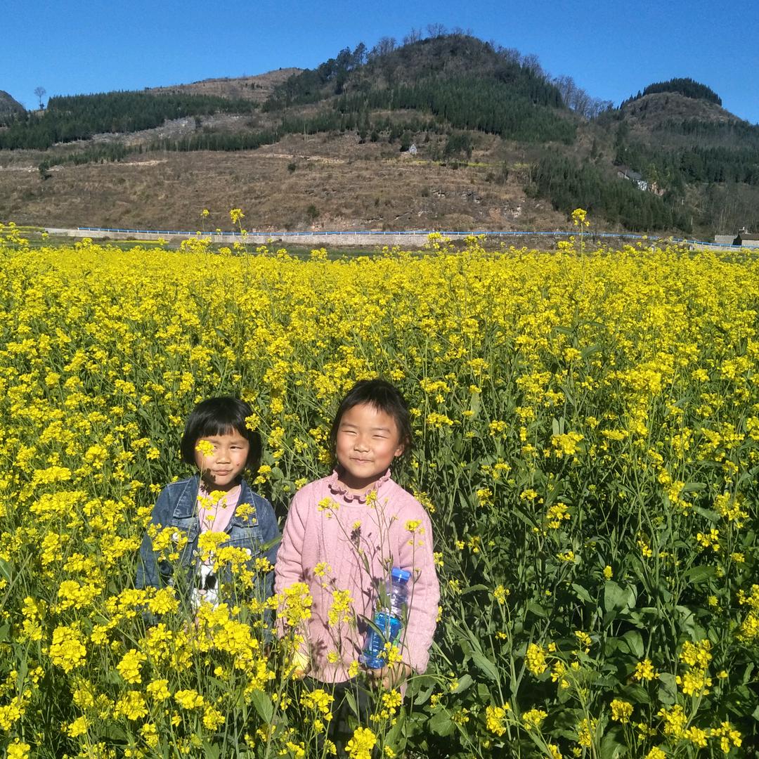 看破红尘护自身